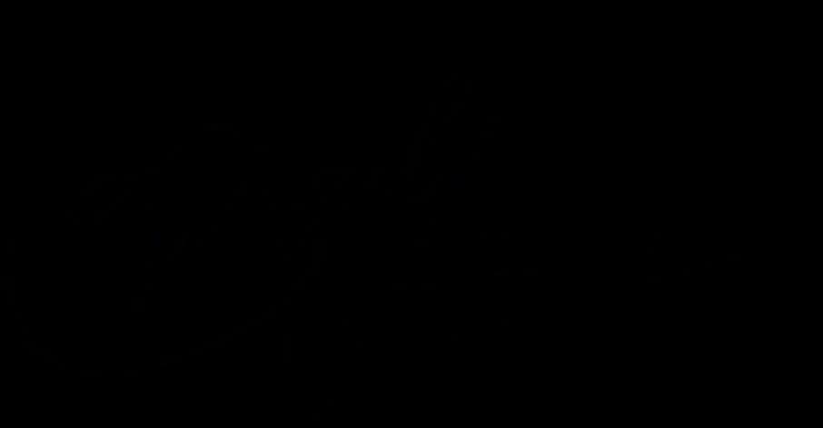 Virgil Signature